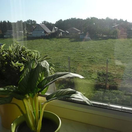 De Alpacaboerderij Apartment Bocholt Стая снимка