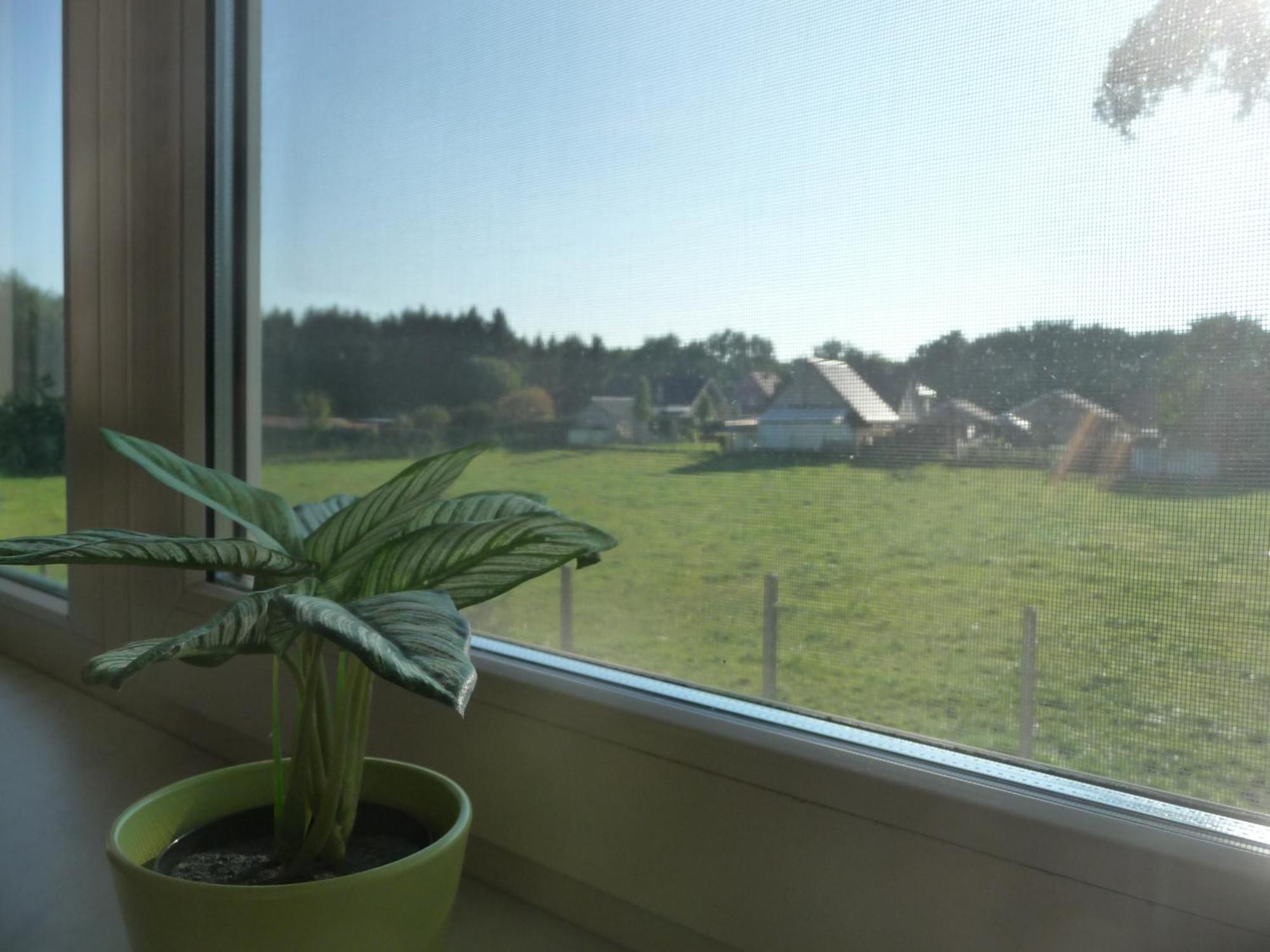 De Alpacaboerderij Apartment Bocholt Стая снимка