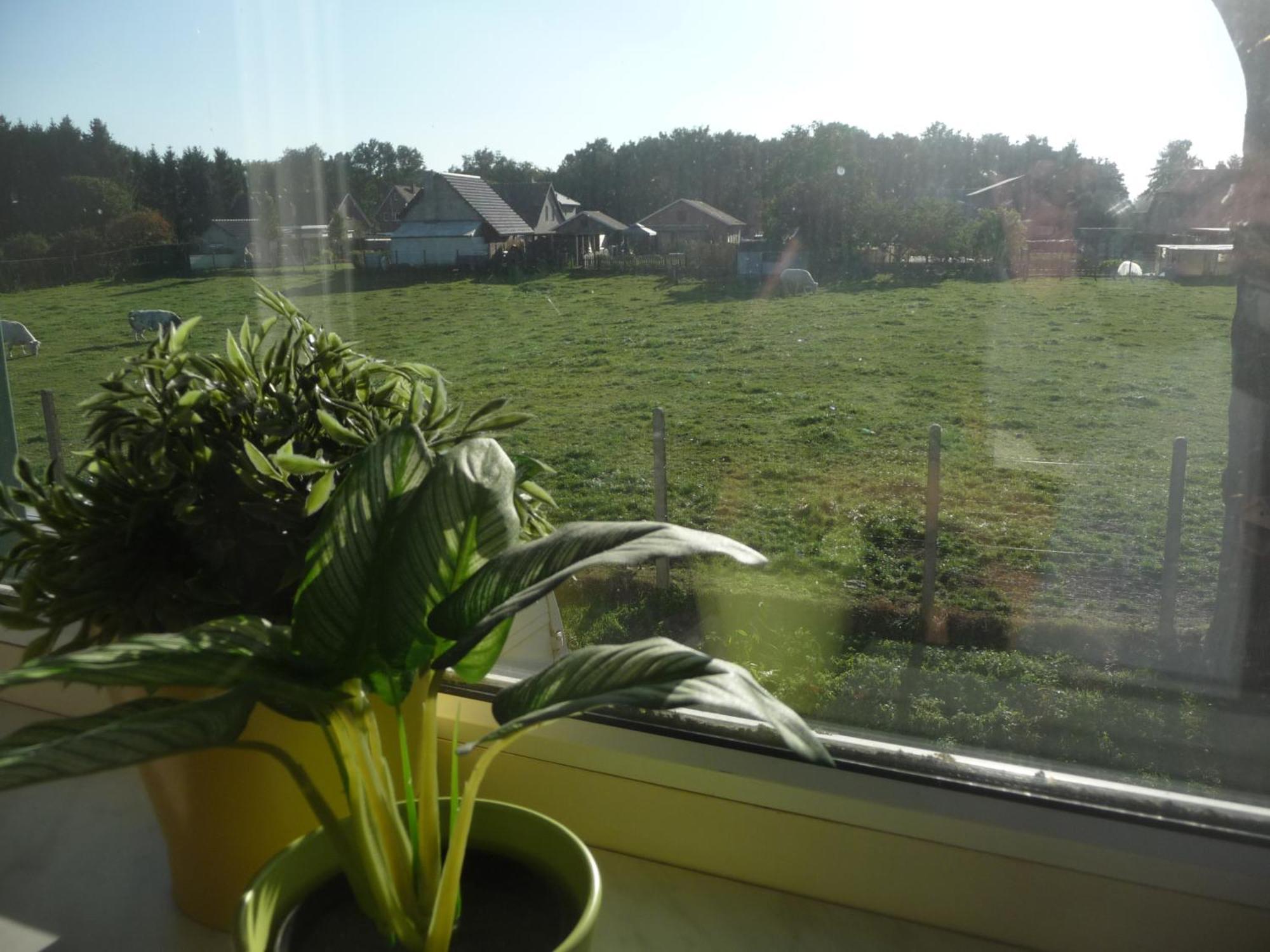 De Alpacaboerderij Apartment Bocholt Стая снимка