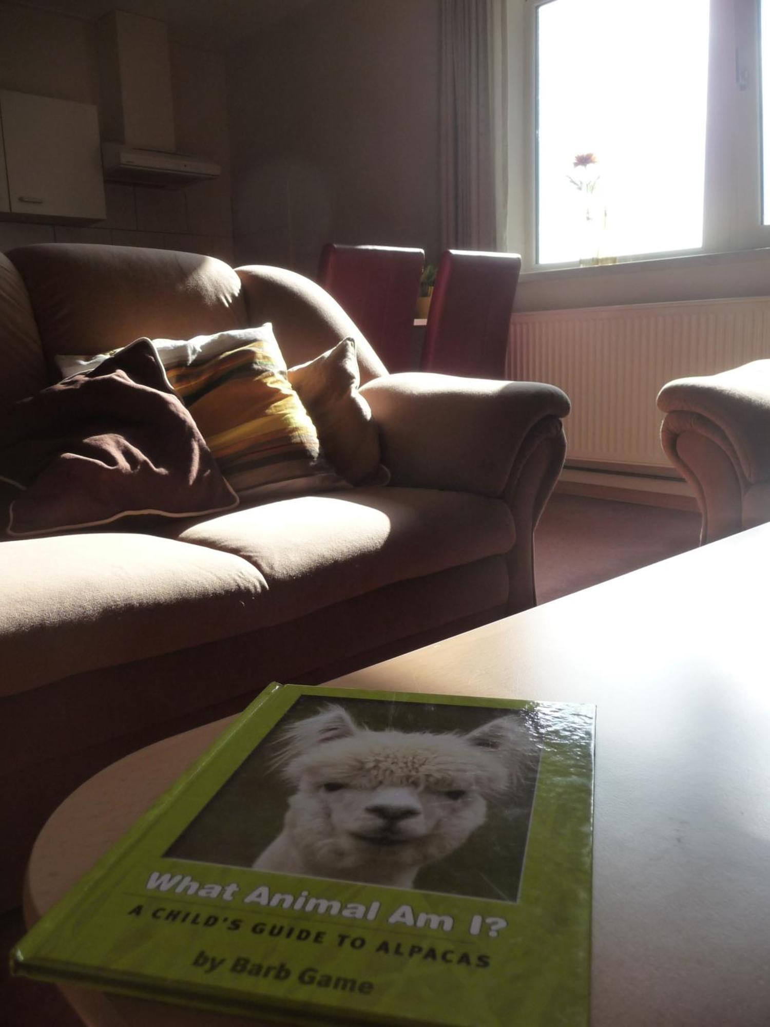 De Alpacaboerderij Apartment Bocholt Стая снимка